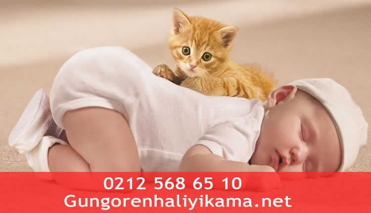 Halı temizliği