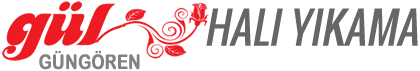 Güngören Halı Yıkama Fabrikası
